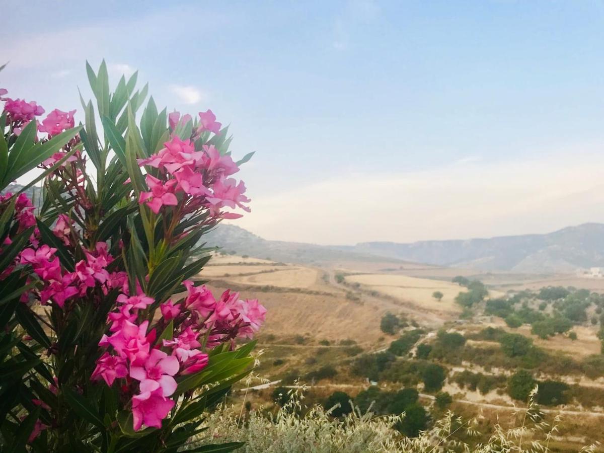 Panoramic Holidays Peja Zewnętrze zdjęcie